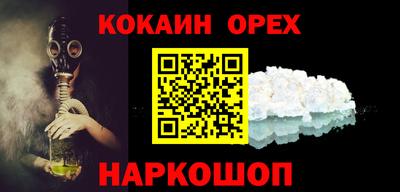 крисы Кулебаки
