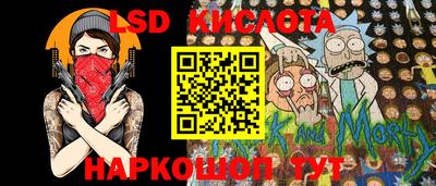 крисы Кулебаки