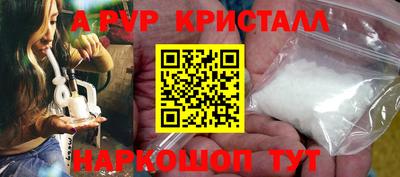 крисы Кулебаки
