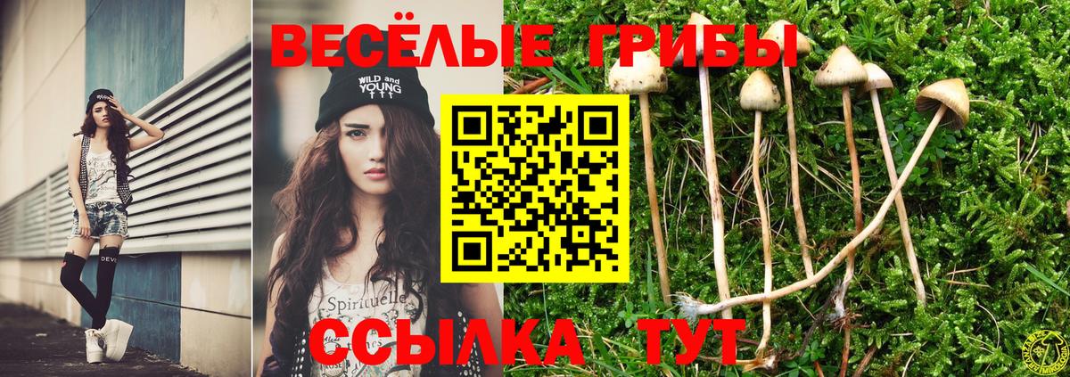 Галлюциногенные грибы GOLDEN TEACHER Жуковский